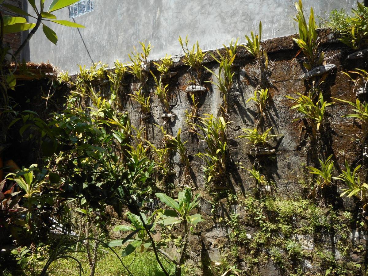 Milla Homestay Sidemen  Exterior foto