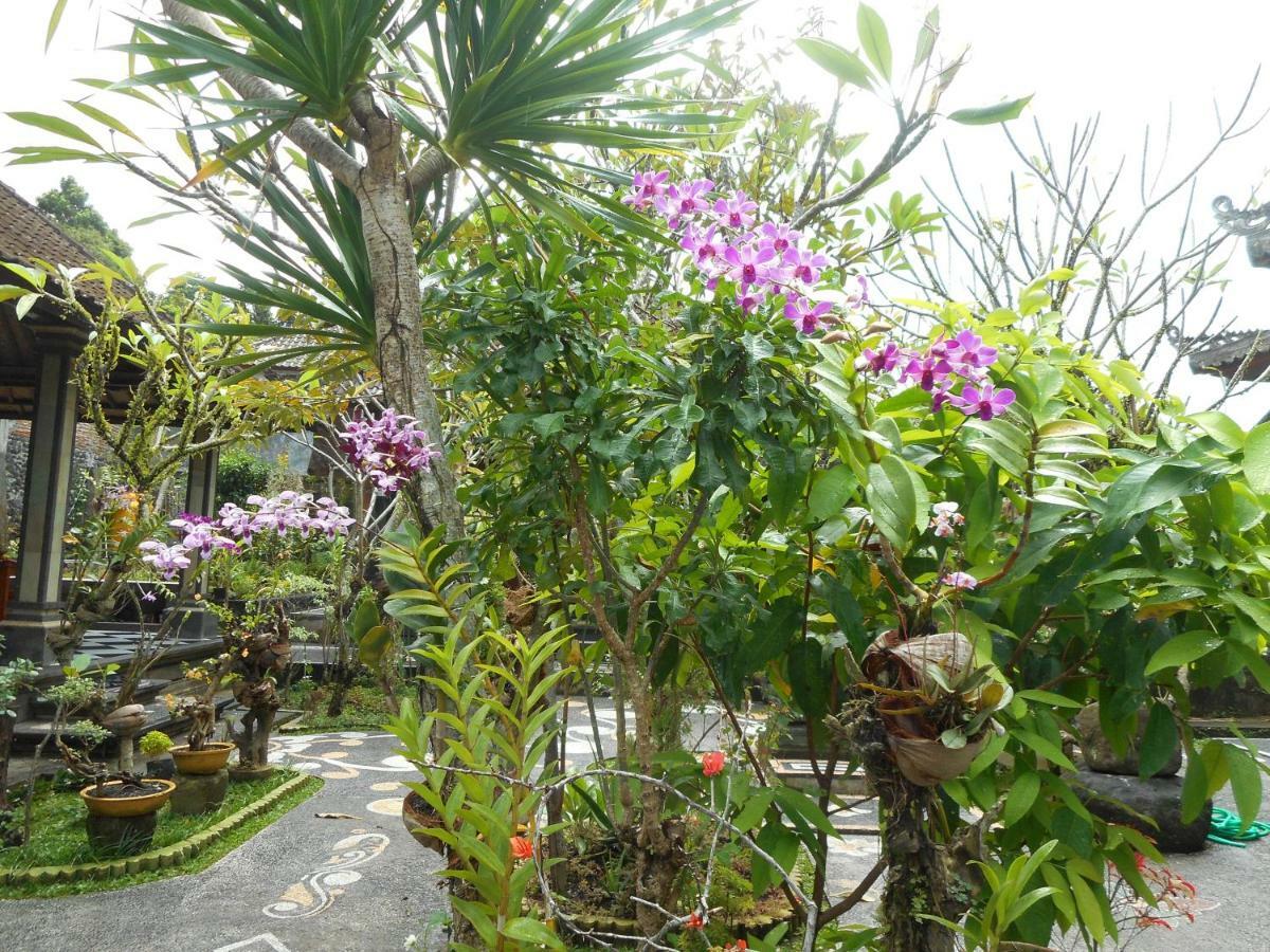 Milla Homestay Sidemen  Exterior foto