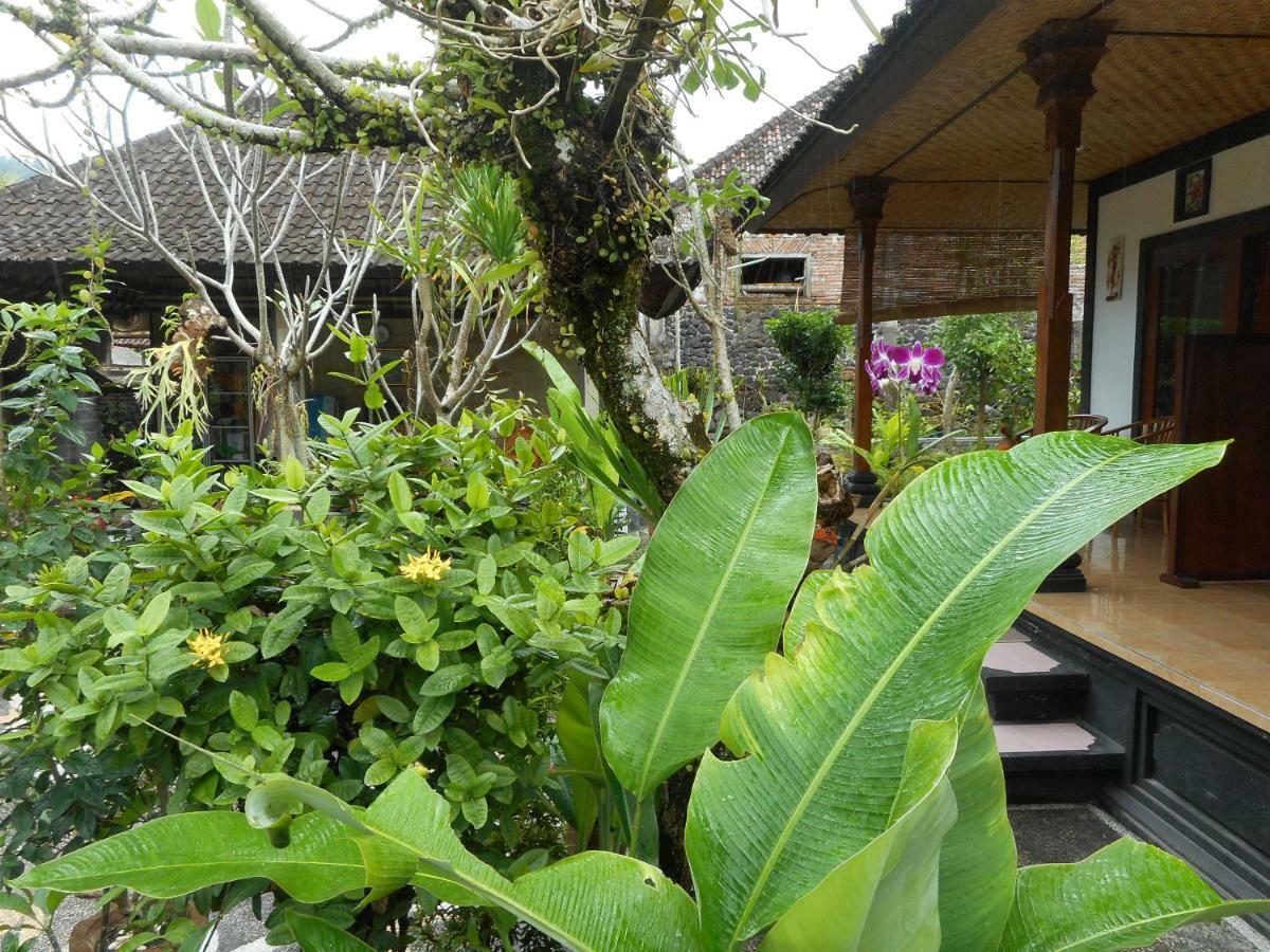Milla Homestay Sidemen  Exterior foto