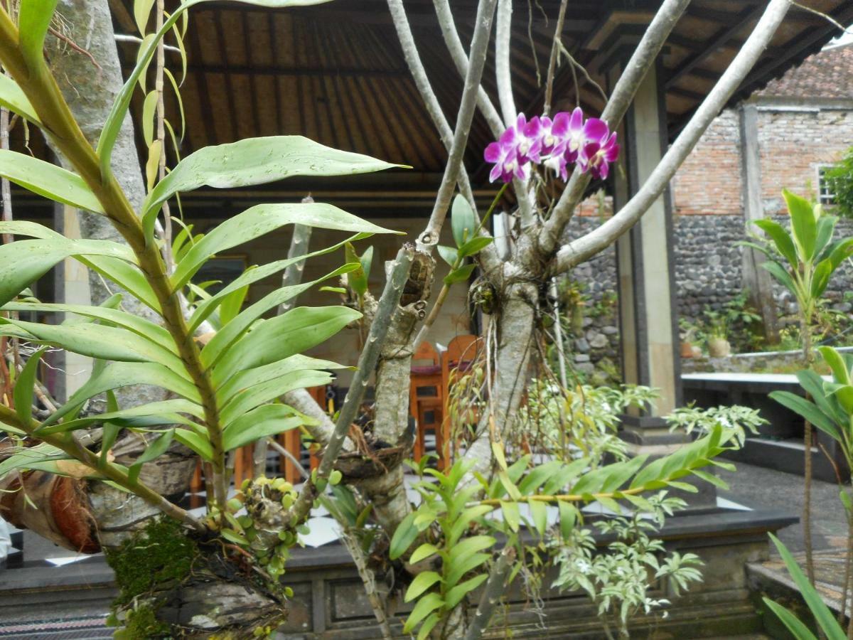 Milla Homestay Sidemen  Exterior foto