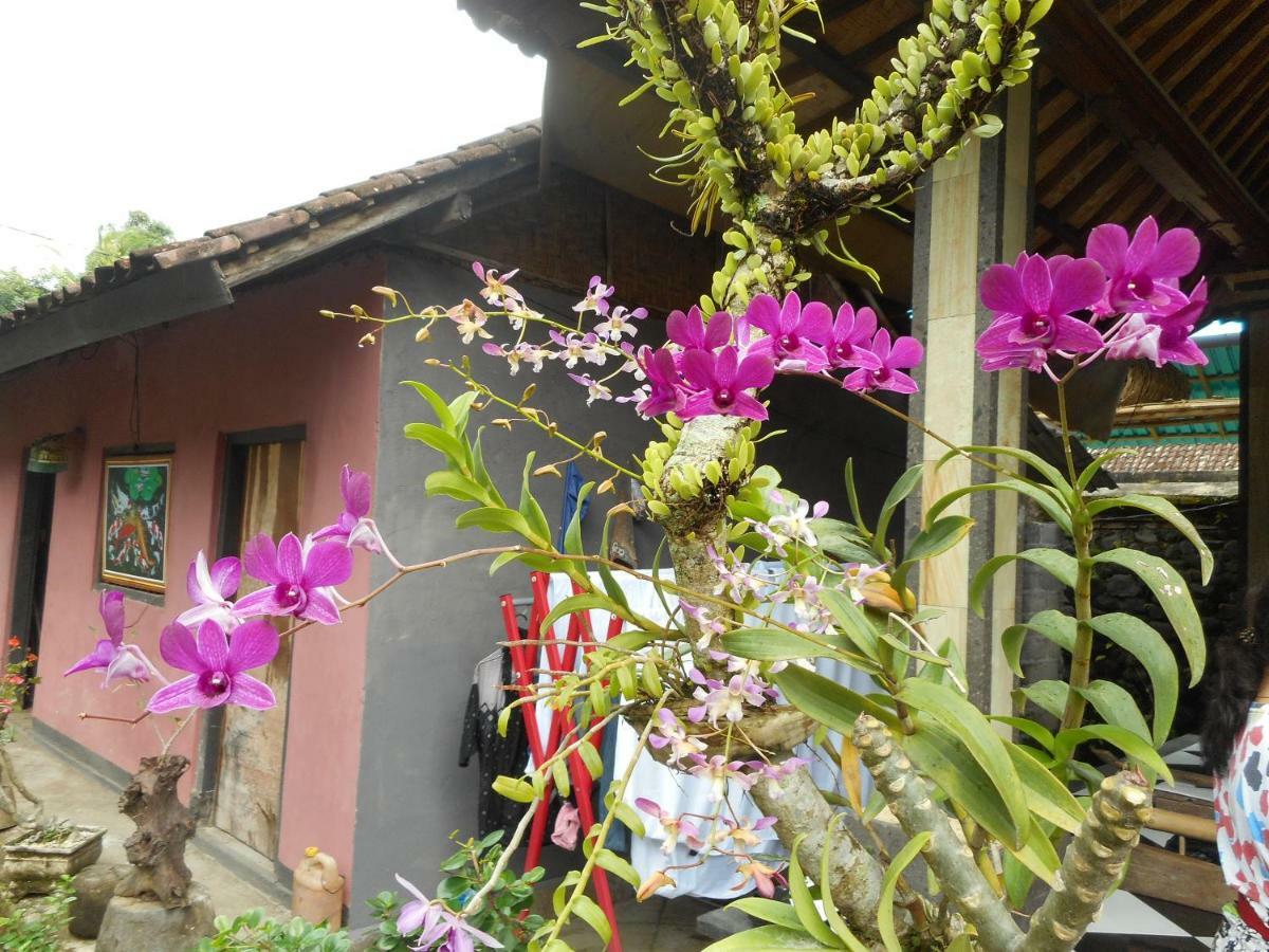 Milla Homestay Sidemen  Exterior foto